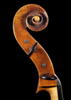 Cello 'Sleeping Beauty' Schnecke